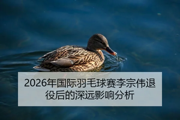2026年国际羽毛球赛李宗伟退役后的深远影响分析