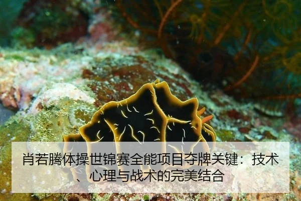 肖若腾体操世锦赛全能项目夺牌关键：技术、心理与战术的完美结合