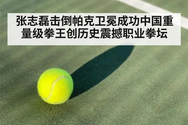 张志磊击倒帕克卫冕成功中国重量级拳王创历史震撼职业拳坛
