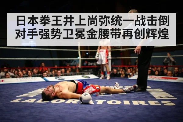 boxer knockout